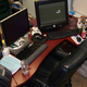 Illustration for article titled Work and Play: An Updated Peek Inside the Lives of Gaming's Greatest